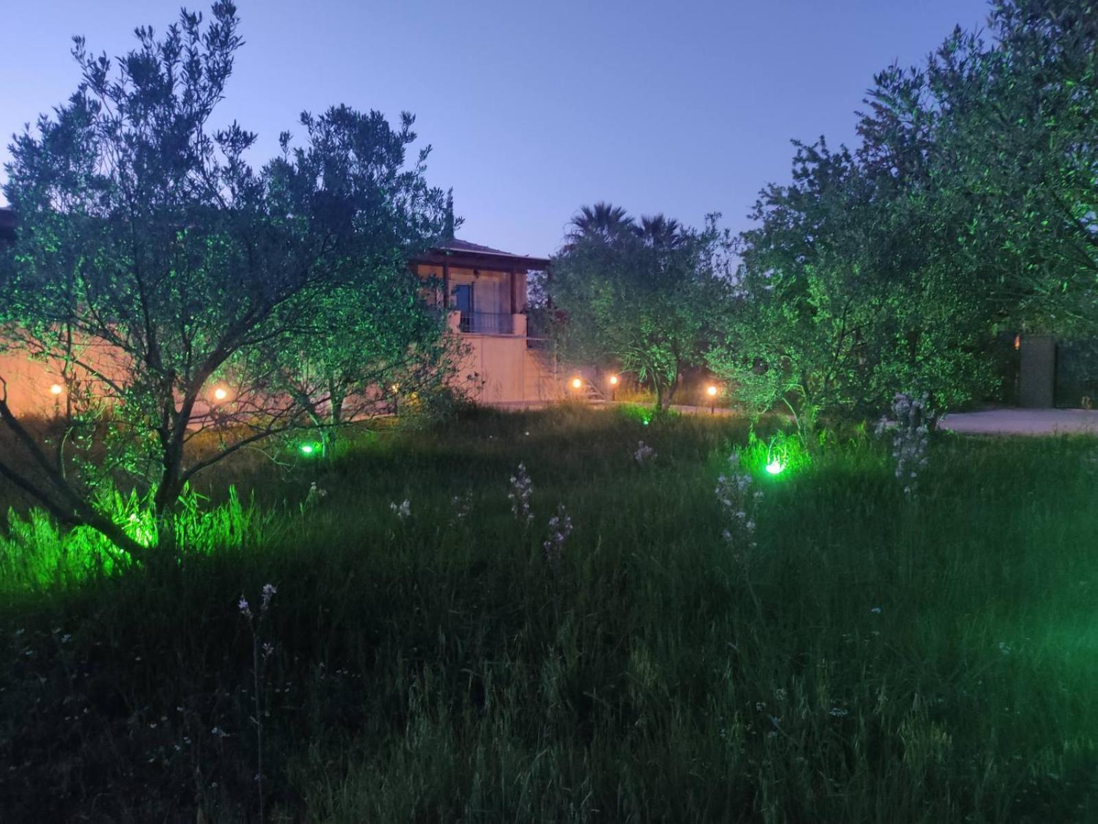 Апартаменти Salty Breeze Experience Vs Olive Flavor Sensation At Porto Cheli Екстер'єр фото